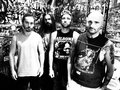 Lifetaker Band