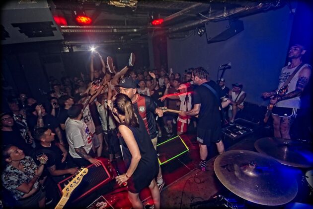 Chartreux at Hafenklang, Hamburg // by xhighfivesx Tobias Luger