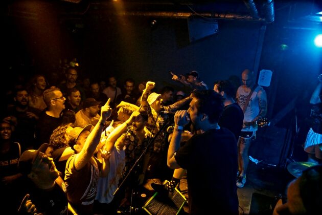 Chartreux at Hafenklang, Hamburg // by xhighfivesx Tobias Luger