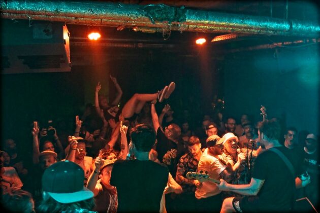 Chartreux at Hafenklang, Hamburg // by xhighfivesx Tobias Luger
