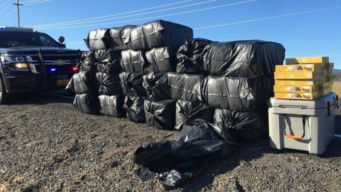 Die Polizei fand während einer Verkehrskontrolle mehr als 600 Pfund Marihuana auf der Ladefläche seines Pickups.