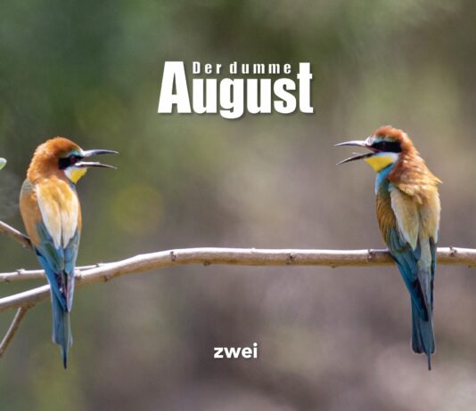 Der dumme August – Zwei ::: Review (2022)