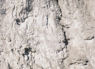 13 Year Cicada – Selftitled ::: Review (2026) 13 Year Cicada - S/T (2026)