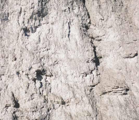 13 Year Cicada – Selftitled ::: Review (2026) 13 Year Cicada - S/T (2026)