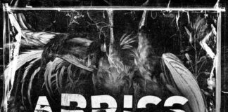 Abriss – Kill Your Idyll ::: Review (2026)