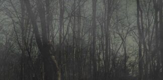 156/Silence – From A Distance ::: Review (2026) 156/Silence – From a Distance (2026)