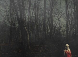 156/Silence – From A Distance ::: Review (2026) 156/Silence – From a Distance (2026)