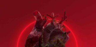 Final Story -Savaged Soul (2020)