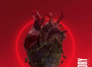 Final Story -Savaged Soul (2020)