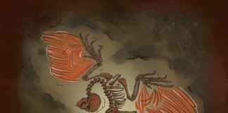 Sharptooth - Transitional Forms (2020)