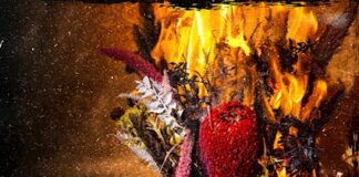 Nofnog - Insomnia (2022)