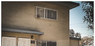 Rotting Out - Ronin (2020, Cover)