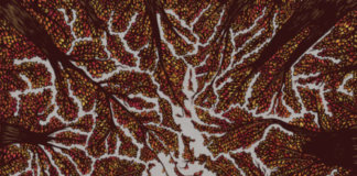 Trash Boat - Crown Shyness - Cover