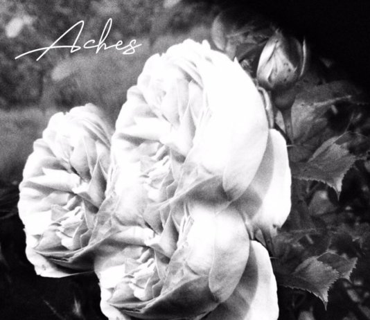 Aches – Dead Youth (2020)