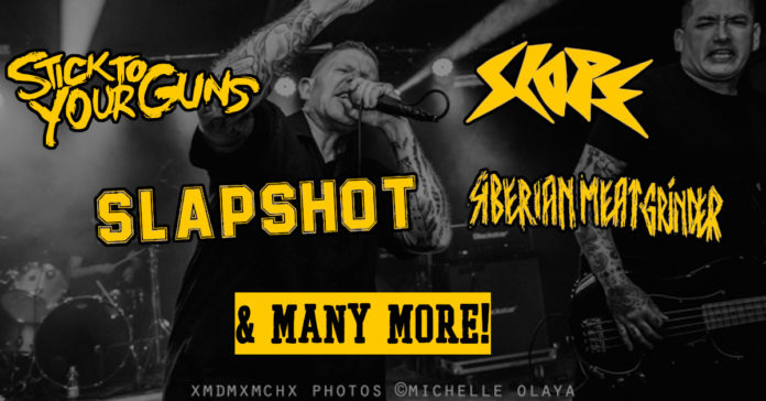 Slapshot (Photo by Michelle Olaya)
