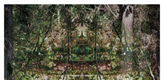 Autumn Kids - Letters (Artwork, 2022)