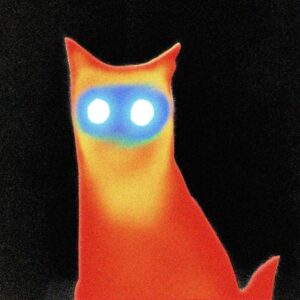 Basement - Wired (2026)