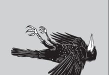 Versus You - Perfectly Still (2026)