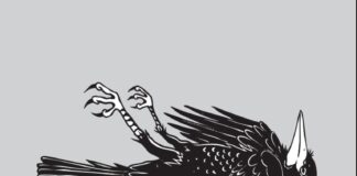 Versus You - Perfectly Still (2026)