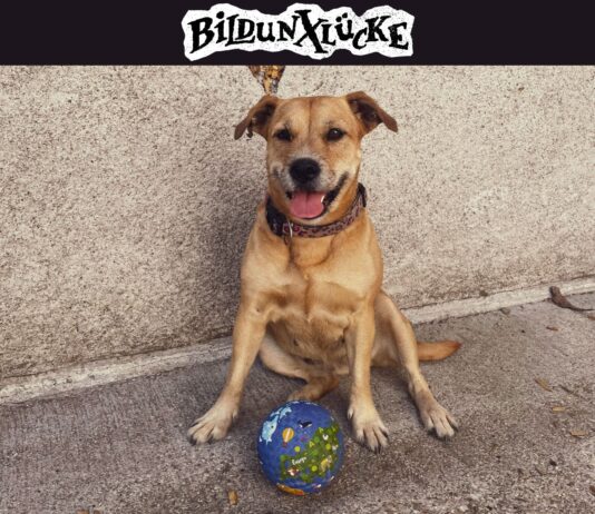 Bildunxlücke veröffentlichen erste Single „Hunde“