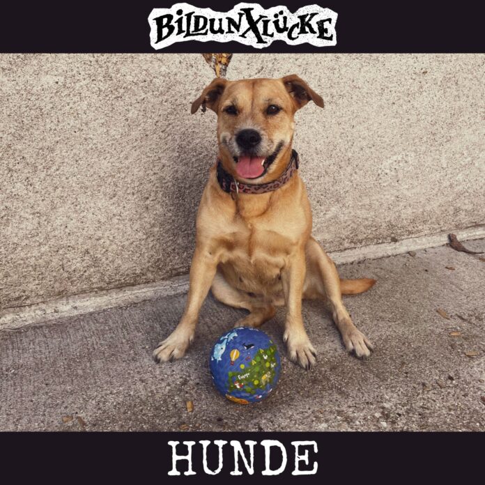 Bildunxlücke Cover