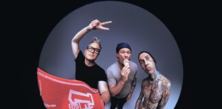 Blink-182 (2022)