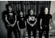 Bullshit Detector (2026)