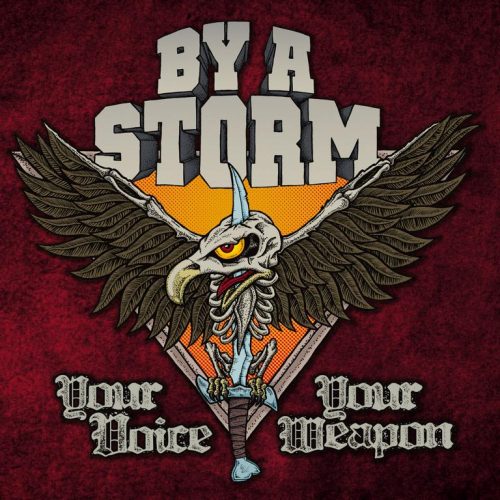 By A Storm - Your Voice Your Weapon
