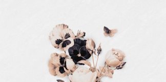 Chiefland - Wildflowers