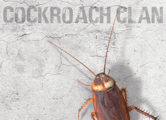 Cockroach Clan - Songs About Blunt Knives and Deep Love