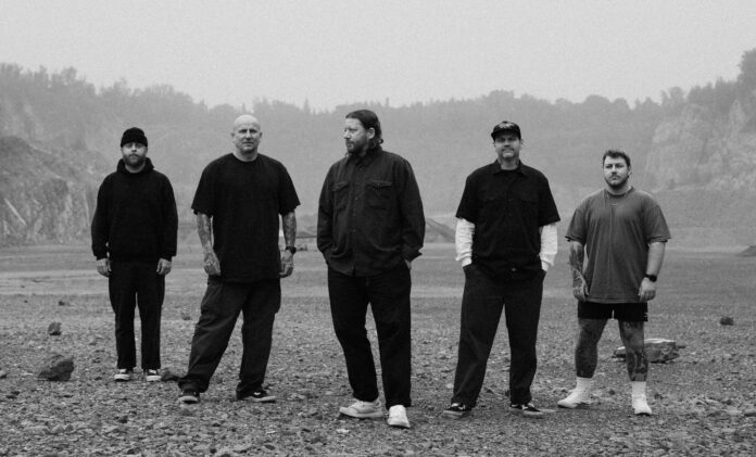 Comeback Kid (Photo by Keith Thompson)