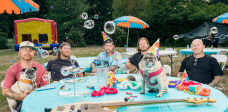 Comeback Kid (Avrinder Dhillon)