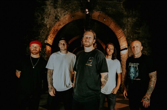 Comeback Kid (Photo by Avrinder Dhillon)