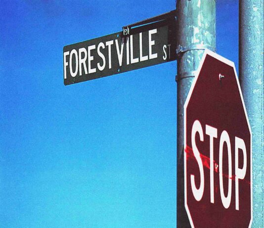 Bracket - 924 Forestville St (Cover. 2024)