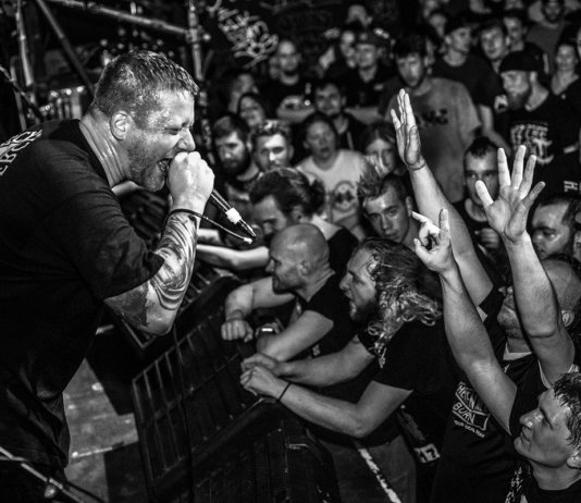 Comeback Kid (Photo by Kuckuck Artworks)