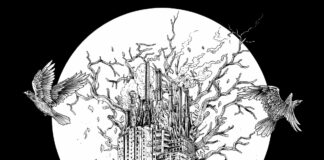 DYYM - 2020 (2021)