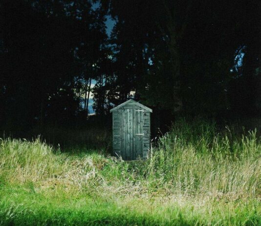 Frank Carter & The Rattlesnakes - Dark Rainbow (2024)