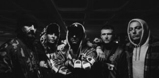 Desolated (Presspic)