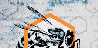 Detlef - Human Resources (2023)