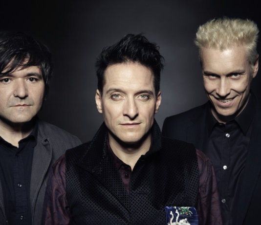 Die Ärzte - Photo by Nela König