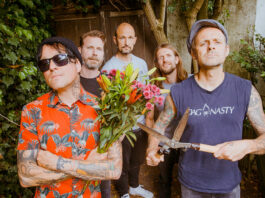 Donots (Bild by the zitterman)
