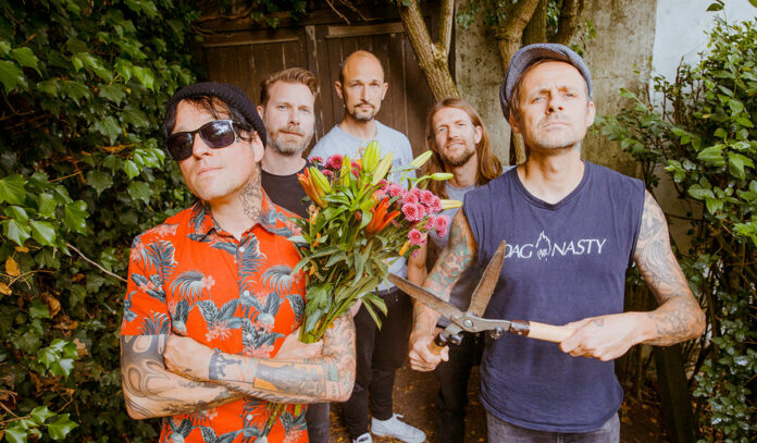 Donots (Bild by the zitterman)