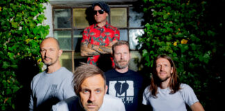 Donots (Copyright by Danny Kötter (the zitterman))