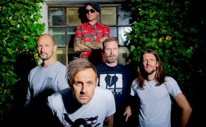 Donots (Copyright by Danny Kötter (the zitterman))