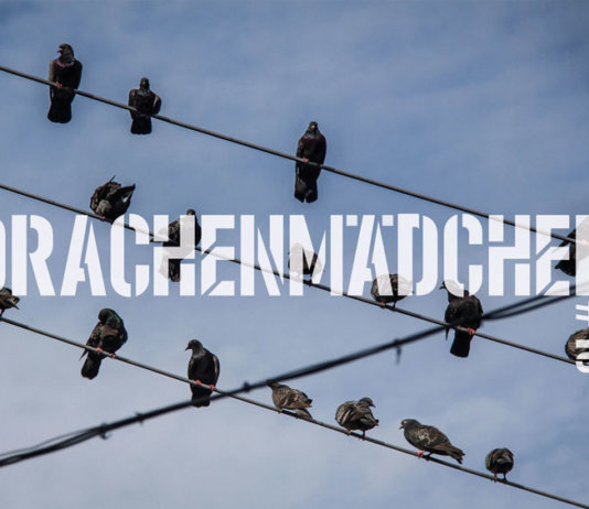 Drachenmädchen #13 (Fanzine) ::: Review (2020)
