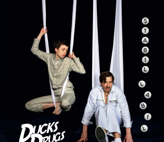 Ducks On Drugs - Stabil labil (2020)