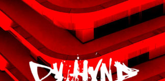 Dv Hvnd – Bollwerk (2020)