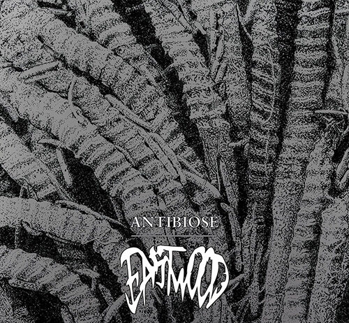 Eastwood - Antibiose (2021)