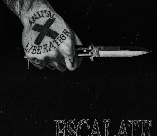 Escalate The Damage Is Done (2022)