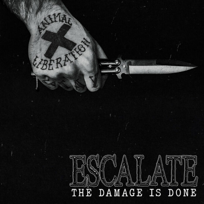 Escalate The Damage Is Done (2022)